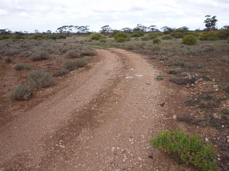 648 Battens Road, Sedan SA 5353