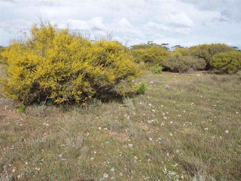 648 Battens Road, Sedan SA 5353