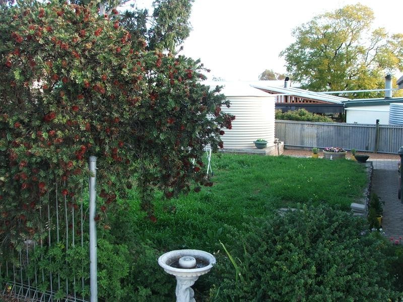 20 Anzac Avenue, Swan Reach SA 5354