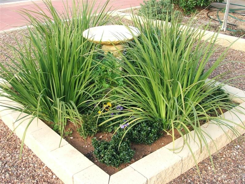 20 Anzac Avenue, Swan Reach SA 5354