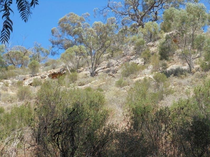 326 Caravan Park, Younghusband SA 5238