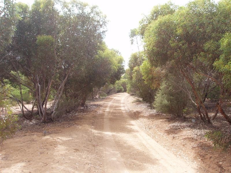 Lot 2, 2 Burdett Road, Mannum SA 5238