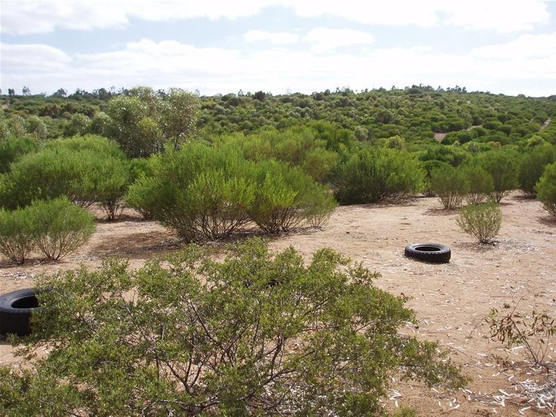 Lot 2, 2 Burdett Road, Mannum SA 5238