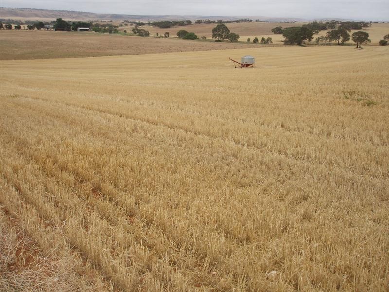 L50 & S105 Abraham Road, Mannum SA 5238