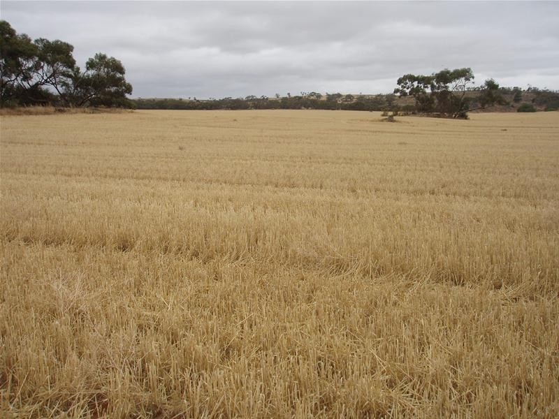 L50 & S105 Abraham Road, Mannum SA 5238