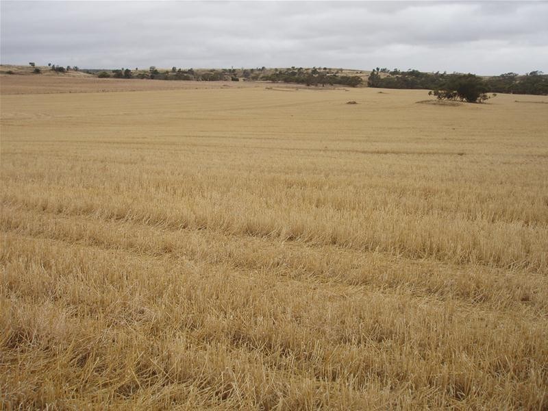 L50 & S105 Abraham Road, Mannum SA 5238