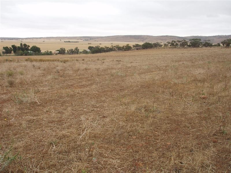 L50 & S105 Abraham Road, Mannum SA 5238