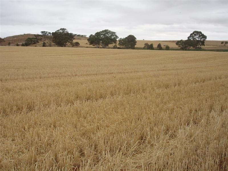 L50 & S105 Abraham Road, Mannum SA 5238