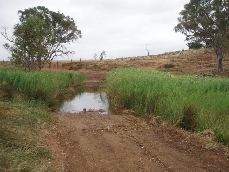 L50 & S105 Abraham Road, Mannum SA 5238