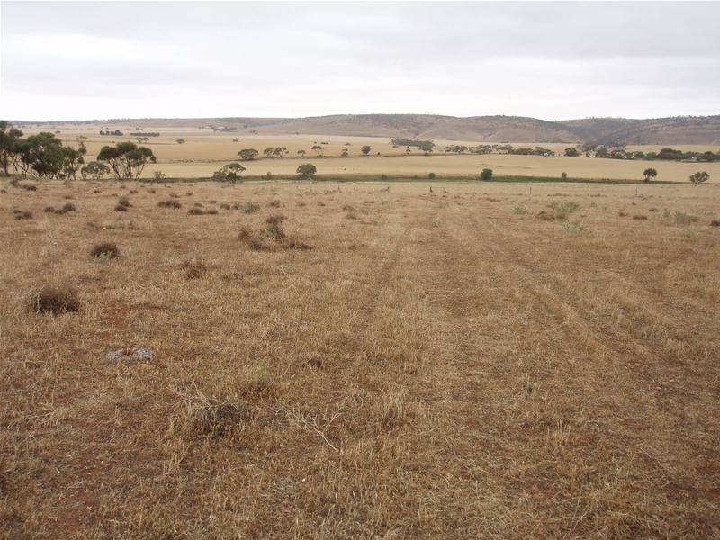 L50 & S105 Abraham Road, Mannum SA 5238