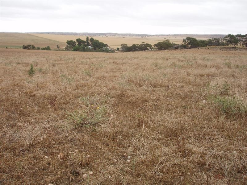 L50 & S105 Abraham Road, Mannum SA 5238