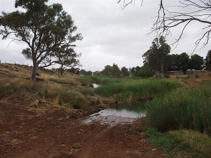 L50 & S105 Abraham Road, Mannum SA 5238