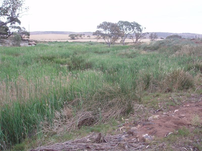 L50 & S105 Abraham Road, Mannum SA 5238