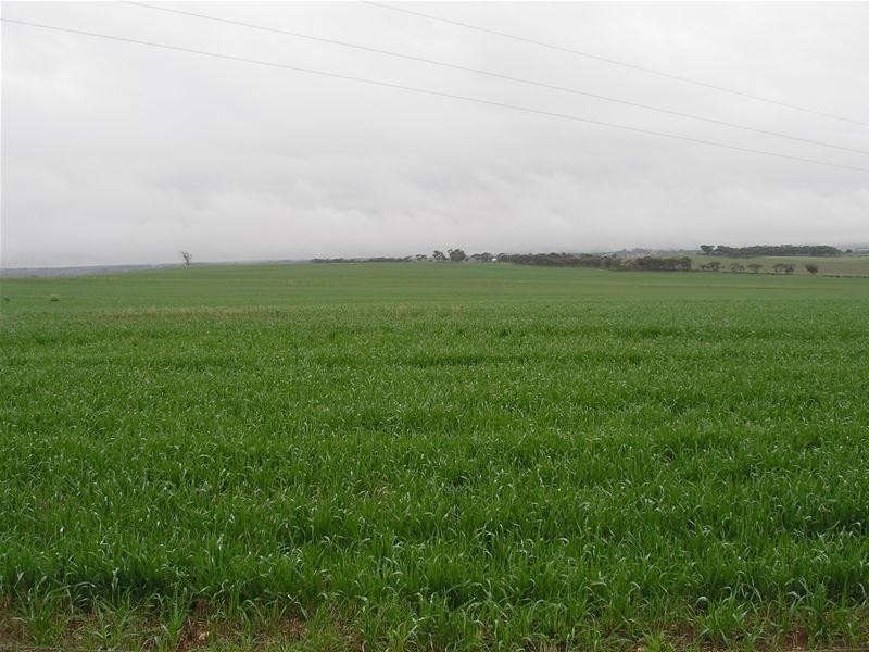 Lot 901 Piggery Road, Mannum SA 5238