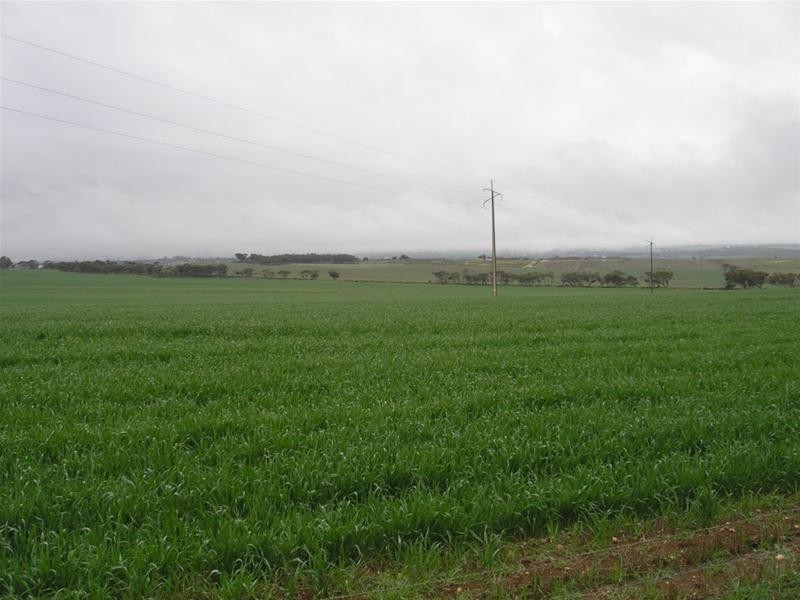 Lot 901 Piggery Road, Mannum SA 5238