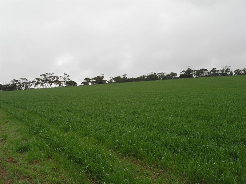 Lot 901 Piggery Road, Mannum SA 5238