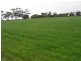 Lot 901 Piggery Road, Mannum SA 5238