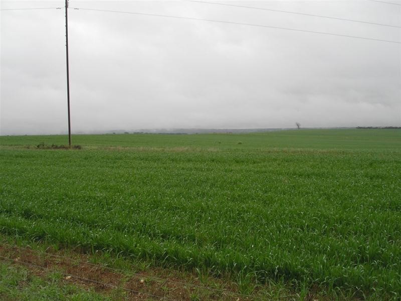 Lot 901 Piggery Road, Mannum SA 5238