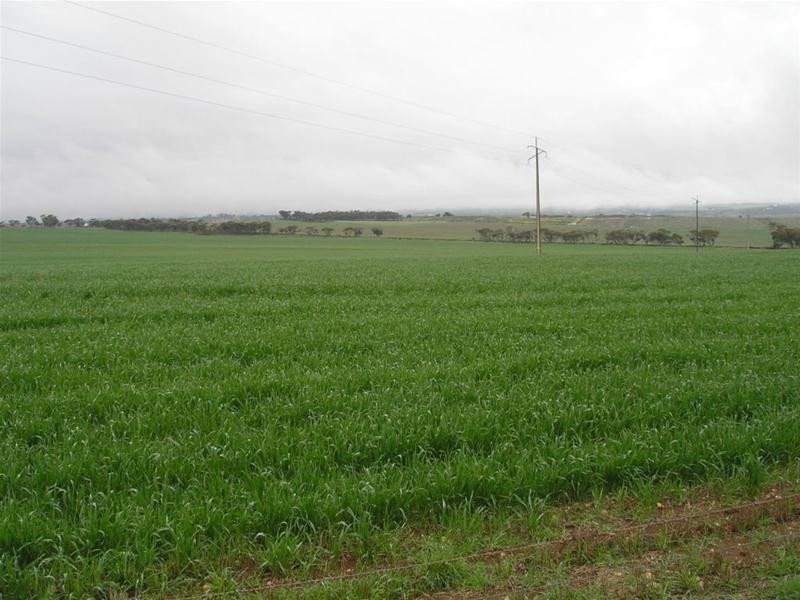 Lot 901 Piggery Road, Mannum SA 5238