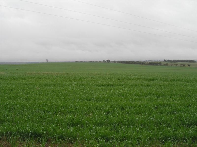 Lot 901 Piggery Road, Mannum SA 5238