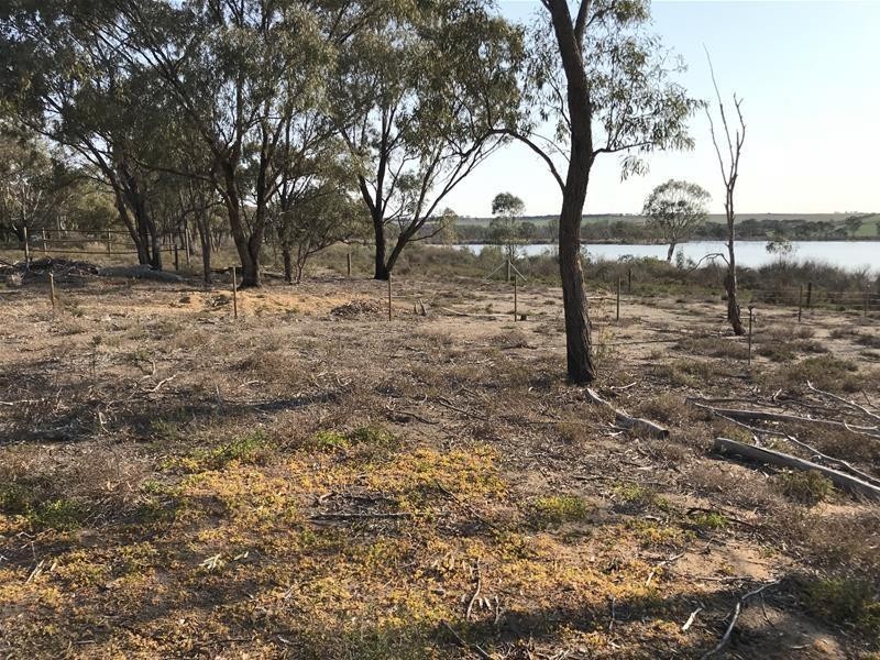 90 Rob Loxton Road, Walker Flat SA 5238