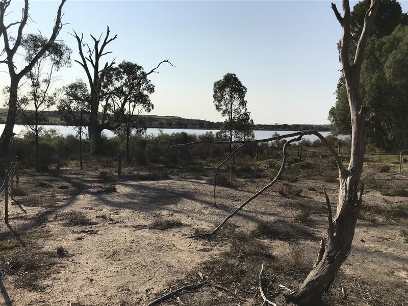 90 Rob Loxton Road, Walker Flat SA 5238