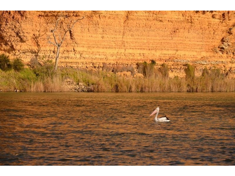 90 Rob Loxton Road, Walker Flat SA 5238