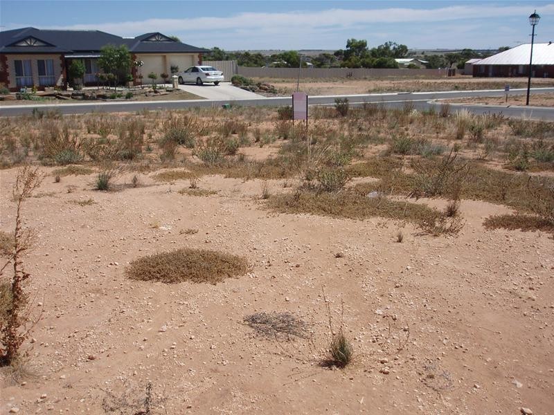 6 Mary Ann Street, Mannum SA 5238