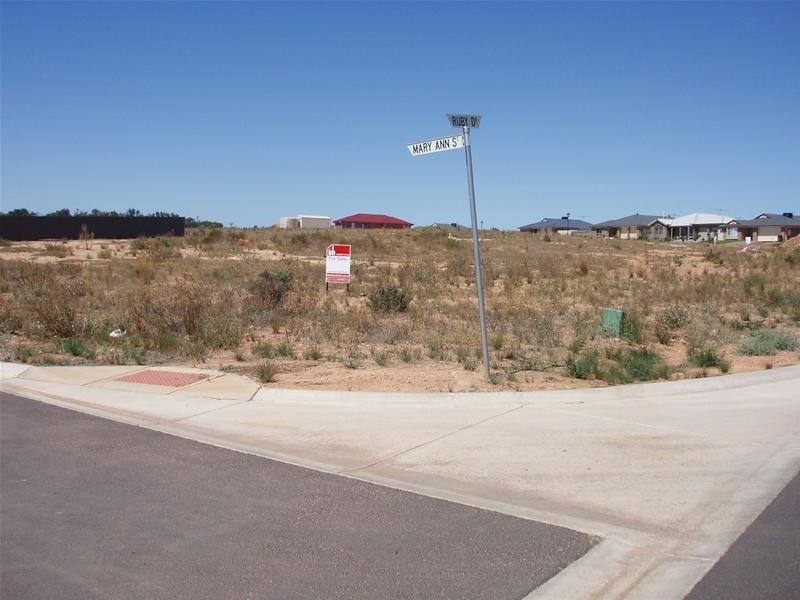 6 Mary Ann Street, Mannum SA 5238