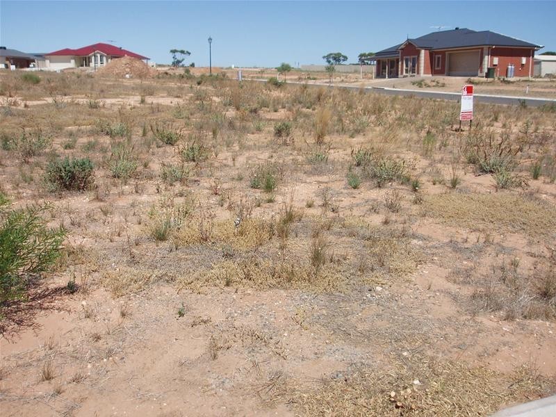 6 Mary Ann Street, Mannum SA 5238