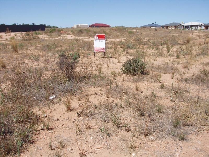 6 Mary Ann Street, Mannum SA 5238