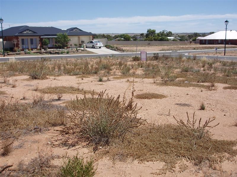 6 Mary Ann Street, Mannum SA 5238