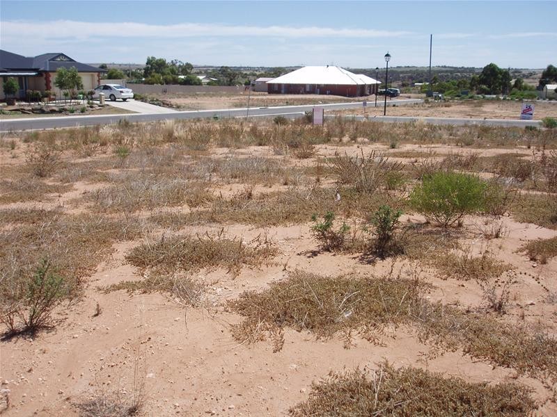 6 Mary Ann Street, Mannum SA 5238