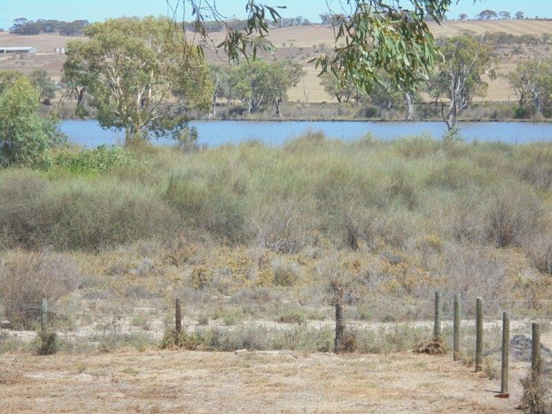 36 Rob Loxton Road, Walker Flat SA 5238