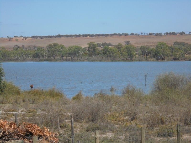 36 Rob Loxton Road, Walker Flat SA 5238