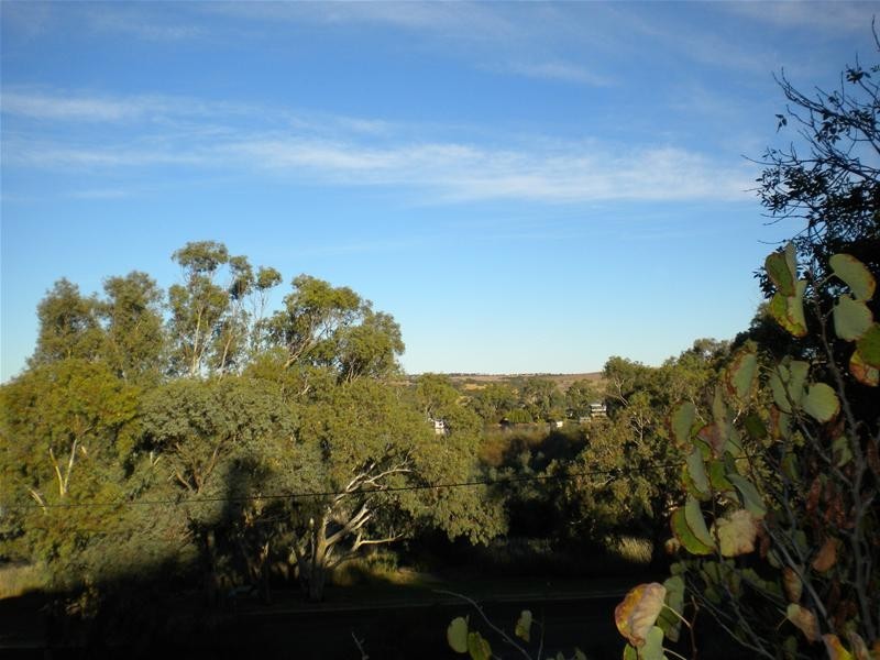 49 Purnong Road, Mannum SA 5238