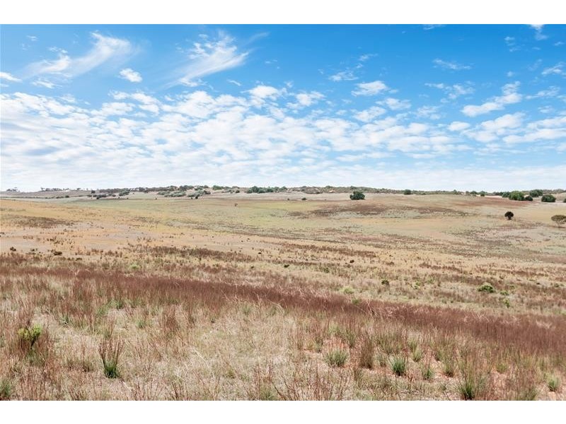 221A Dabinett Road, Cowirra via, Mannum SA 5238