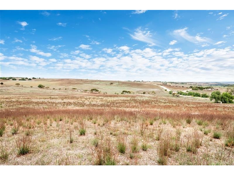 221A Dabinett Road, Cowirra via, Mannum SA 5238