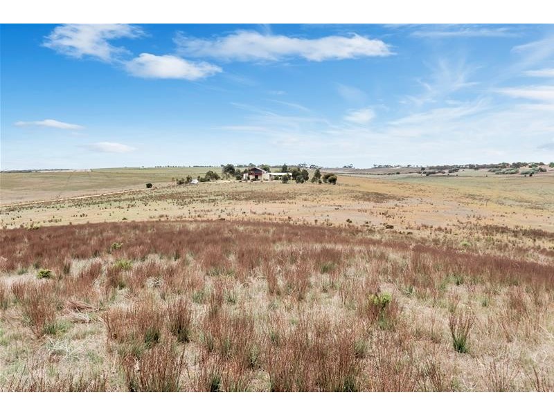 221A Dabinett Road, Cowirra via, Mannum SA 5238