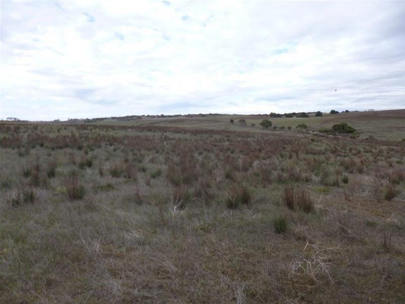 221A Dabinett Road, Cowirra via, Mannum SA 5238