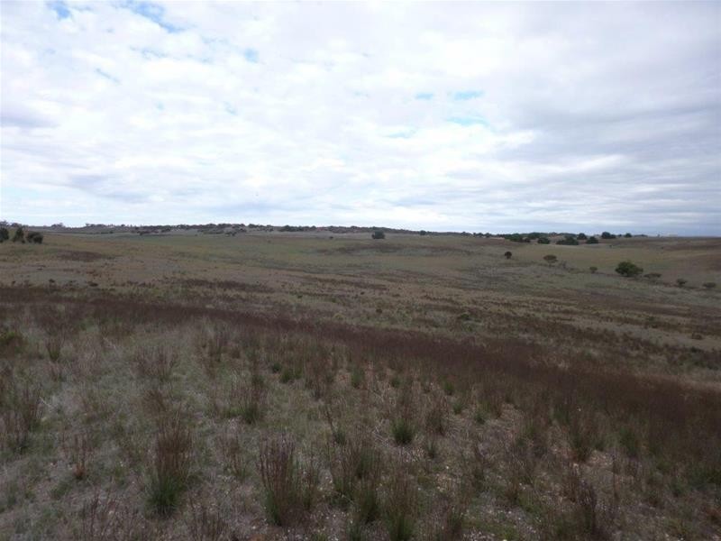 221A Dabinett Road, Cowirra via, Mannum SA 5238