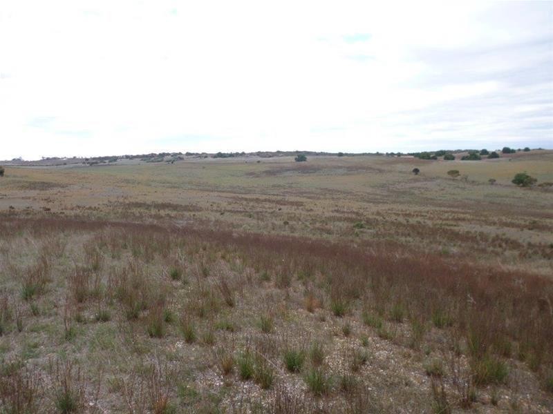 221A Dabinett Road, Cowirra via, Mannum SA 5238