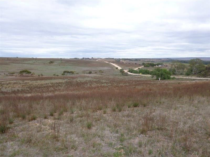 221A Dabinett Road, Cowirra via, Mannum SA 5238