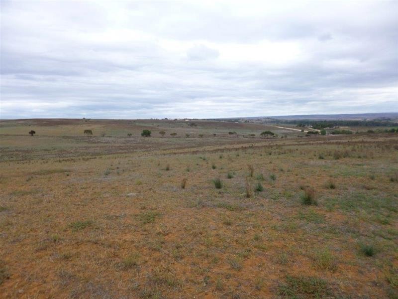 221A Dabinett Road, Cowirra via, Mannum SA 5238