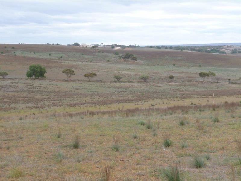 221A Dabinett Road, Cowirra via, Mannum SA 5238