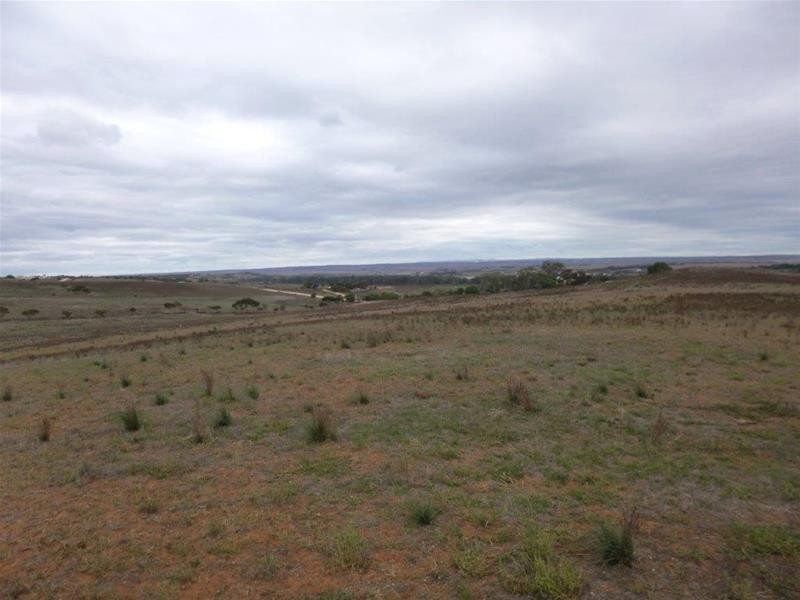 221A Dabinett Road, Cowirra via, Mannum SA 5238