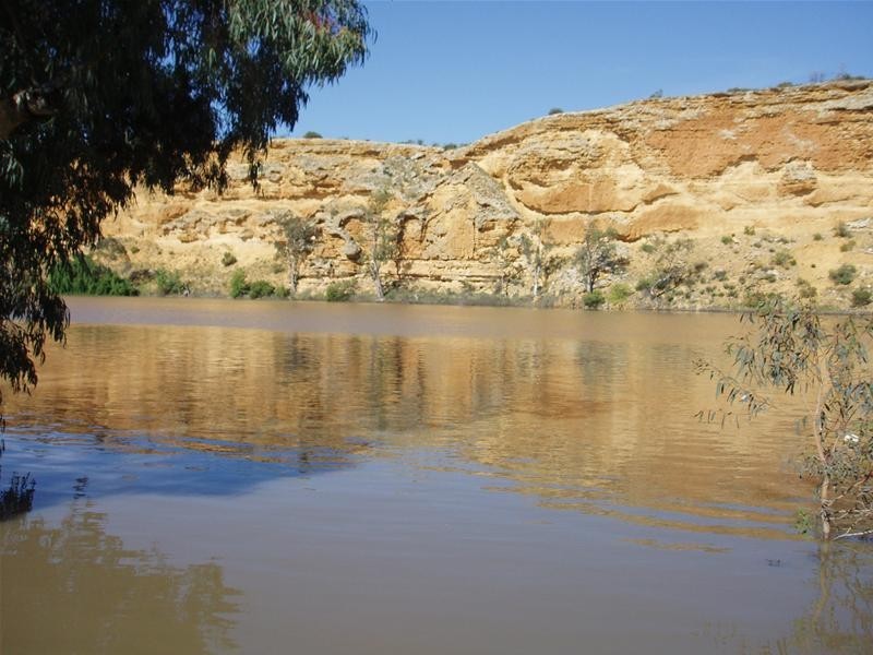 31 Rob Loxton Road, Walker Flat SA 5238