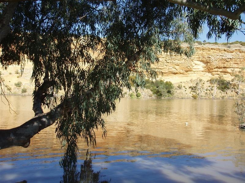 31 Rob Loxton Road, Walker Flat SA 5238