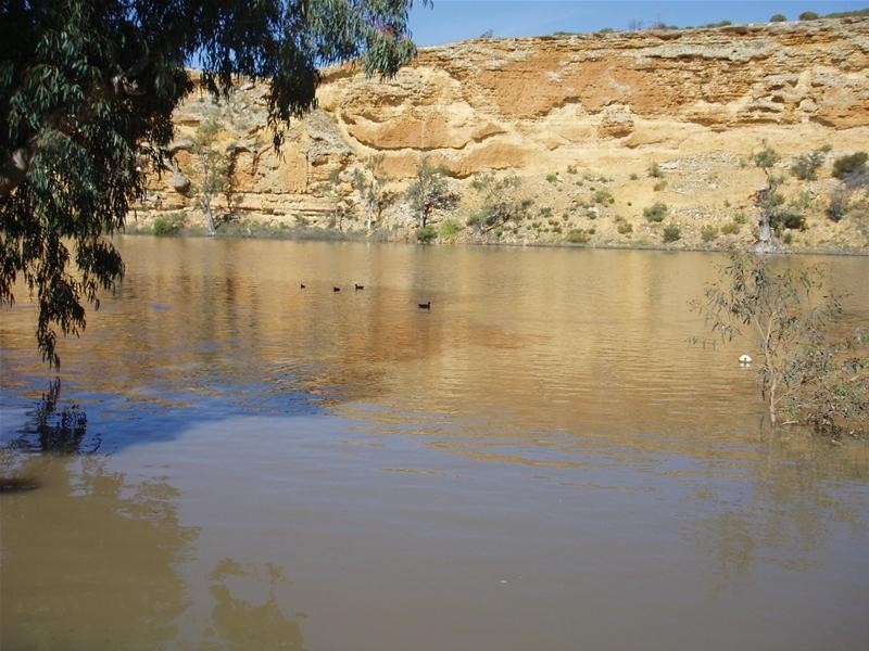 31 Rob Loxton Road, Walker Flat SA 5238