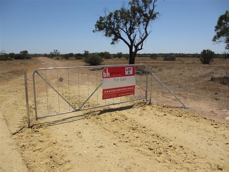 Lot 9 Stott Highway, Swan Reach SA 5354